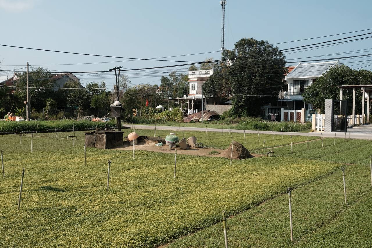 Hoi An Bike Tour : Explore the Insider’s Route, Ride a Buffalo and Duck Farm Visit - Image 9