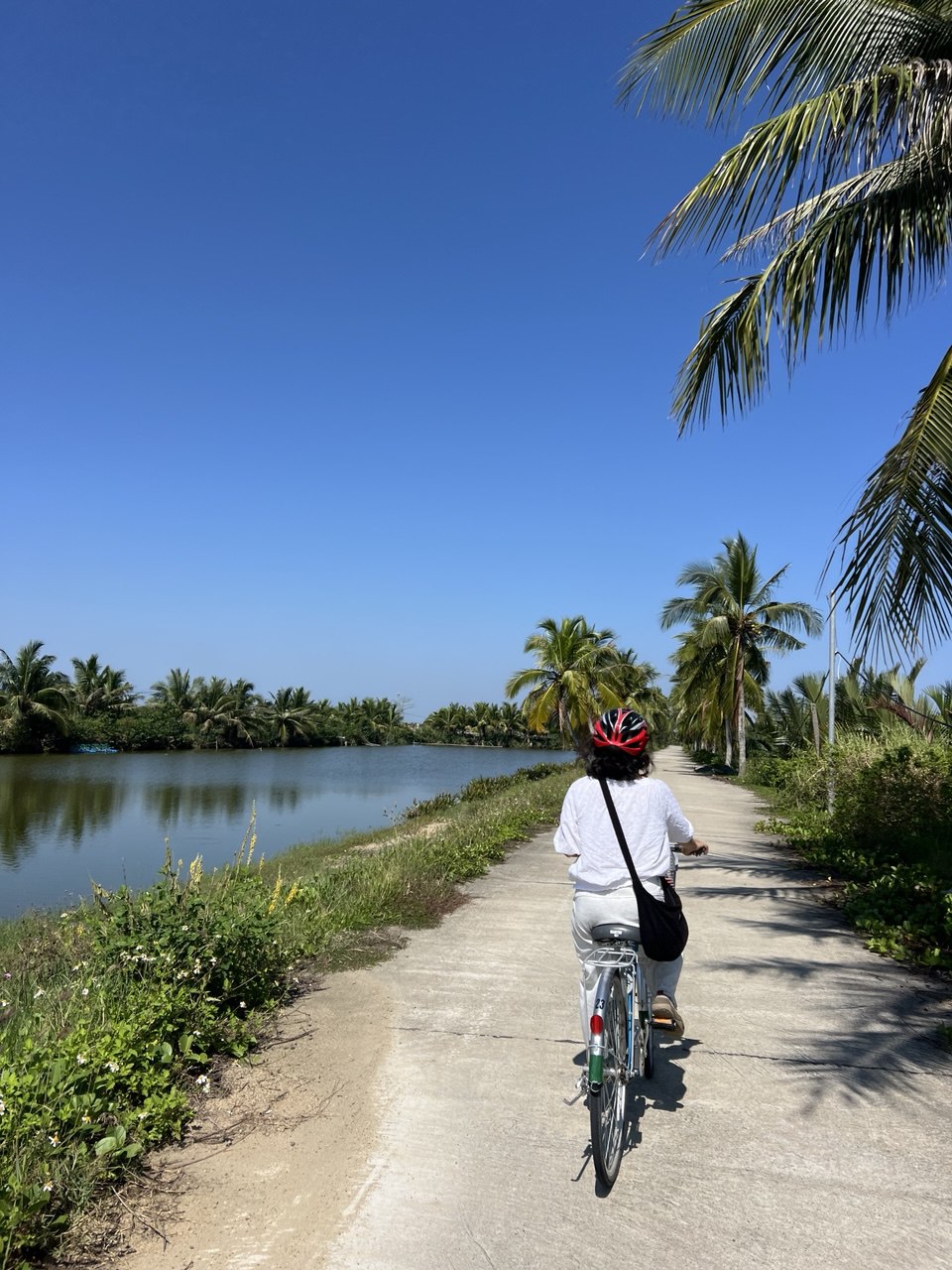 hoi an bike tour